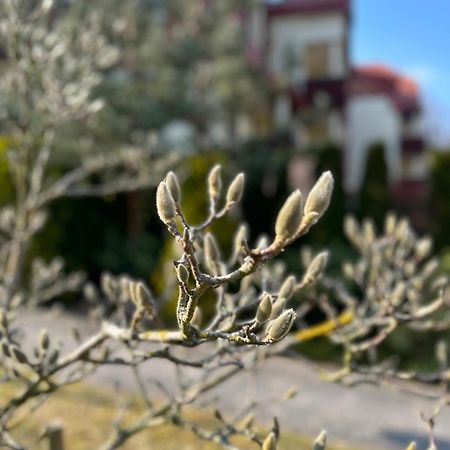 Apartament Josefina ポラニツァ・ズドゥルイ エクステリア 写真